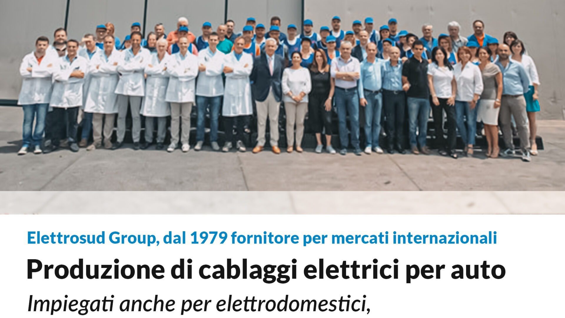 Elettrosud Group: produzione di cablaggi elettrici per auto